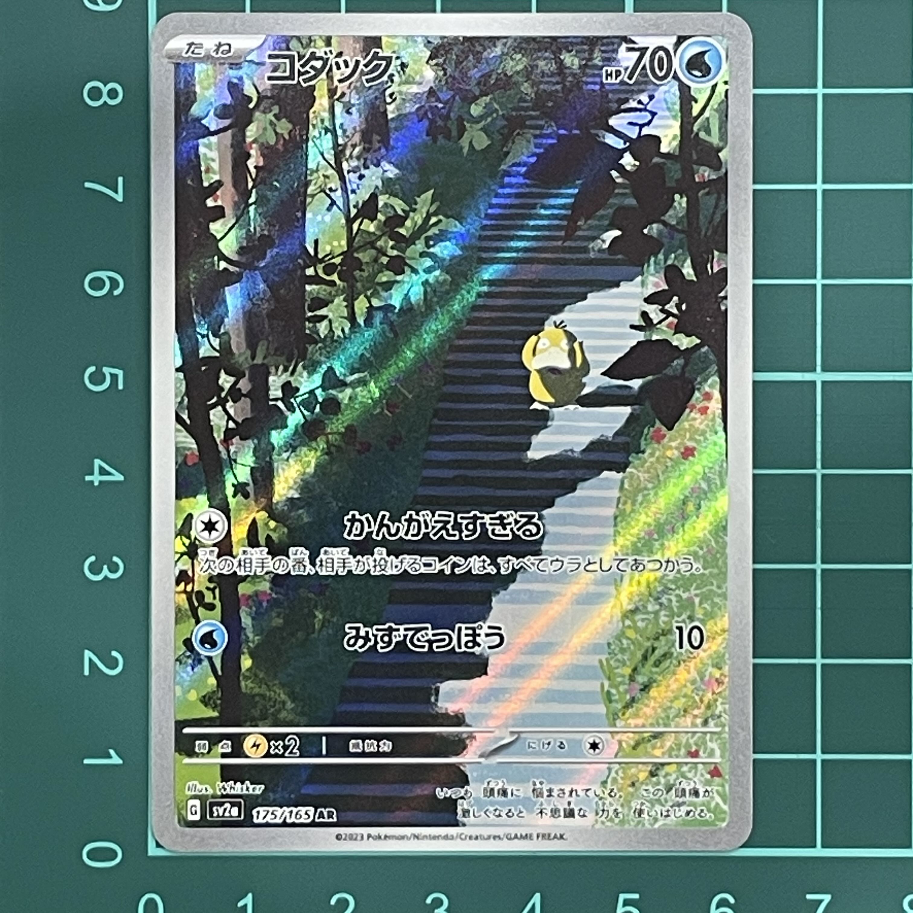 コダック AR 175/165 1枚の通販 （現在休業）HeartFull（1262683361