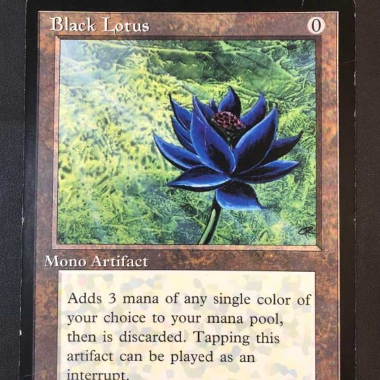 大判カード Black Lotus ブラックロータス scrye MTG 1枚 1枚の通販