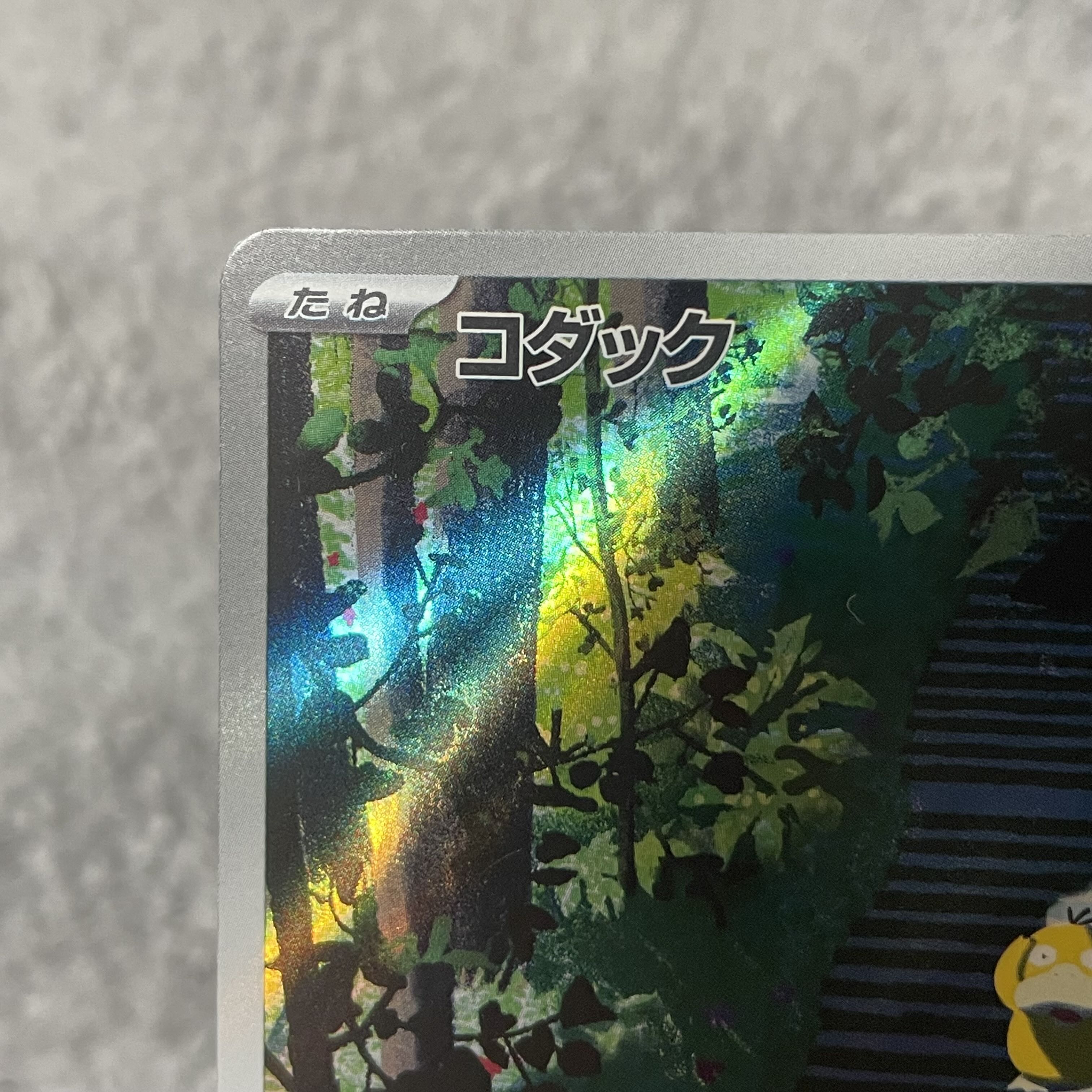 コダック AR 175/165 1枚の通販 m(_ _)m（1833288569） | magi