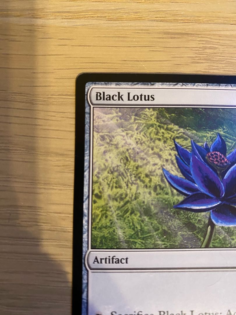 MTG/Black Lotus/30th 1枚 (Used) （1344245729）| magi -TCG