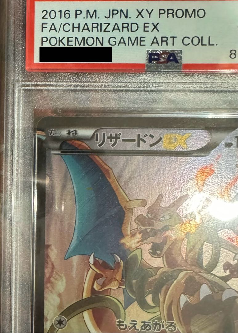 リザードンEX プロモ （276/XY-P） XY アートコレクション スペシャル