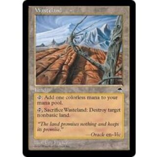 不毛の大地」の激安通販 | magi