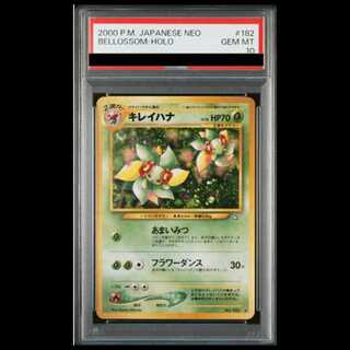 旧裏 psa10」の激安通販 | magi