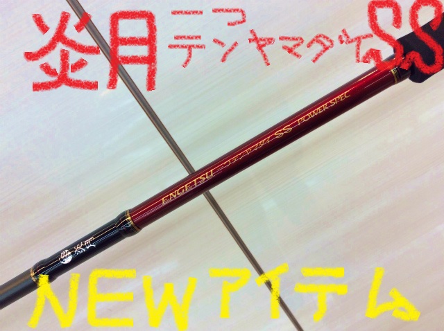 新商品】重量級テンヤ対応！・・・・シマノ「炎月一つテンヤマダイSS