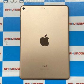 iPad mini 2019 (第5世代) 訳あり・ジャンク 9,500円 | ネット最安値の