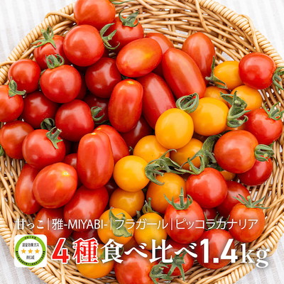北海道当別産ミニトマト4種食べ比べ 1.4kg（甘っこ・雅MIYABI