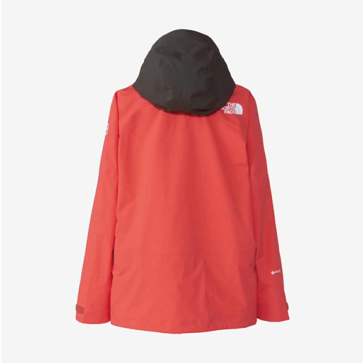 スキーウェア メンズ スキージャケット THE NORTH FACE ザ・ノース