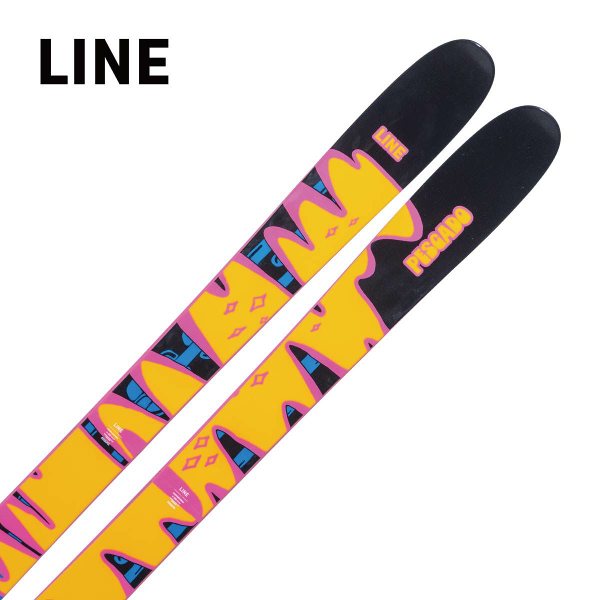 スキー板 NORDICA ノルディカ ＜2024＞ ENFORCER 100 【板のみ