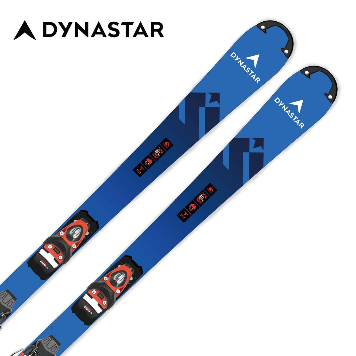 DYNASTAR】ディナスタースキー板ならスキー用品通販ショップ - タナベ