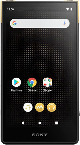 Sony NW-ZX707 Walkman 64GB Hi-Res Portable Digital Music Player