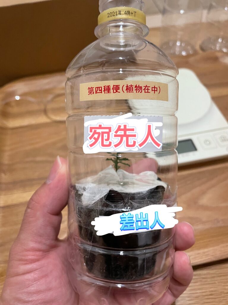 簡単5分で完成！植物を全国どこでも発送できる第四種郵便のペット