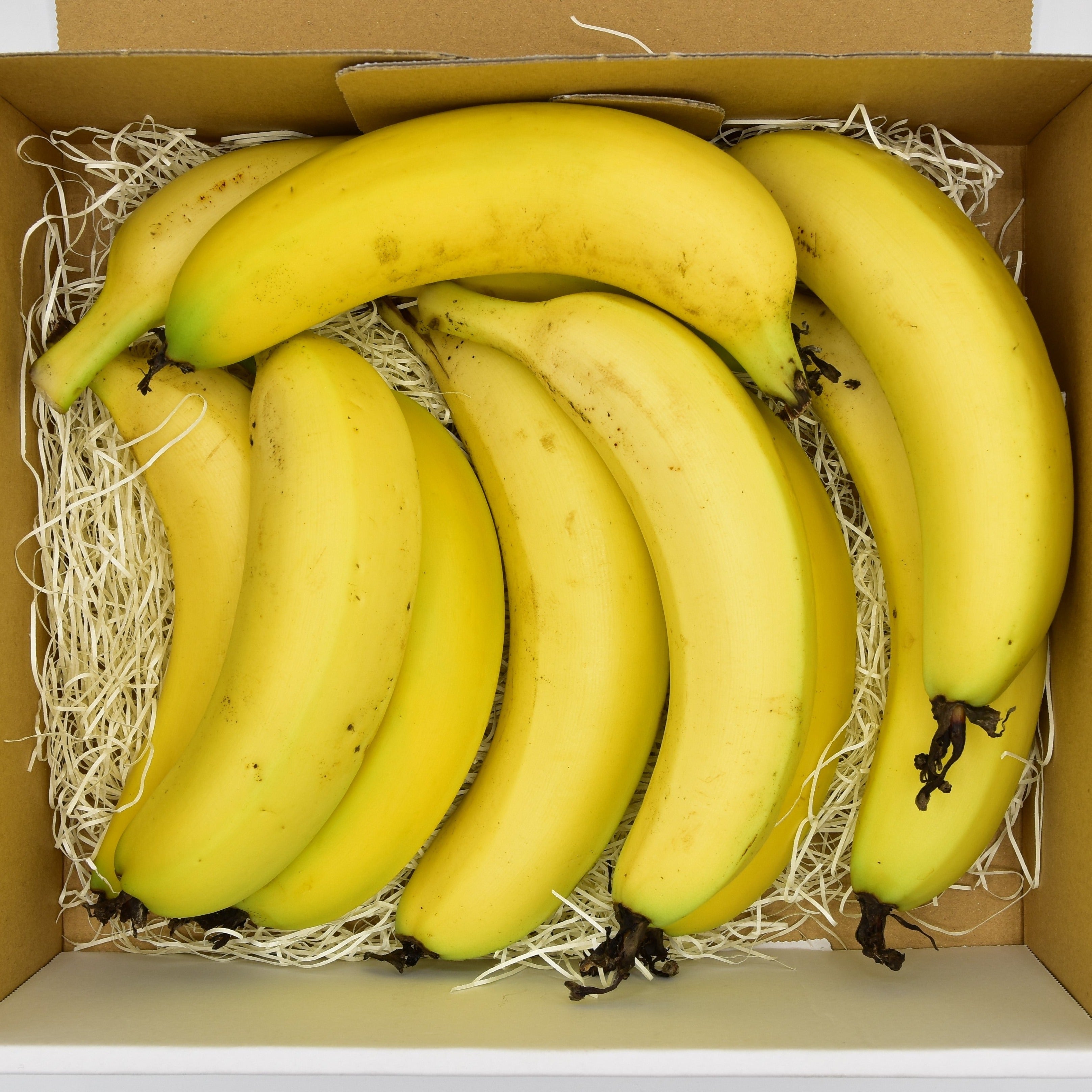 DSC_0820re.jpg?v=1708912421&