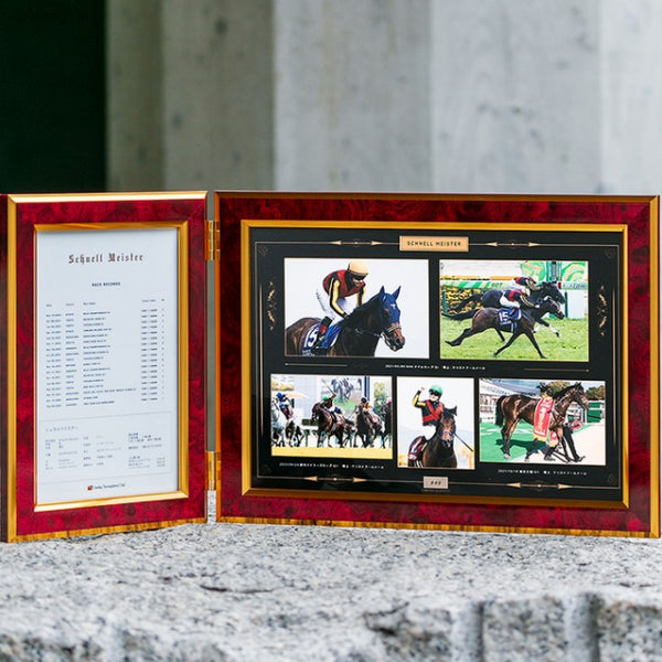 HORSE GOODS net】シュネルマイスター・引退記念写真パネル｜netkeiba