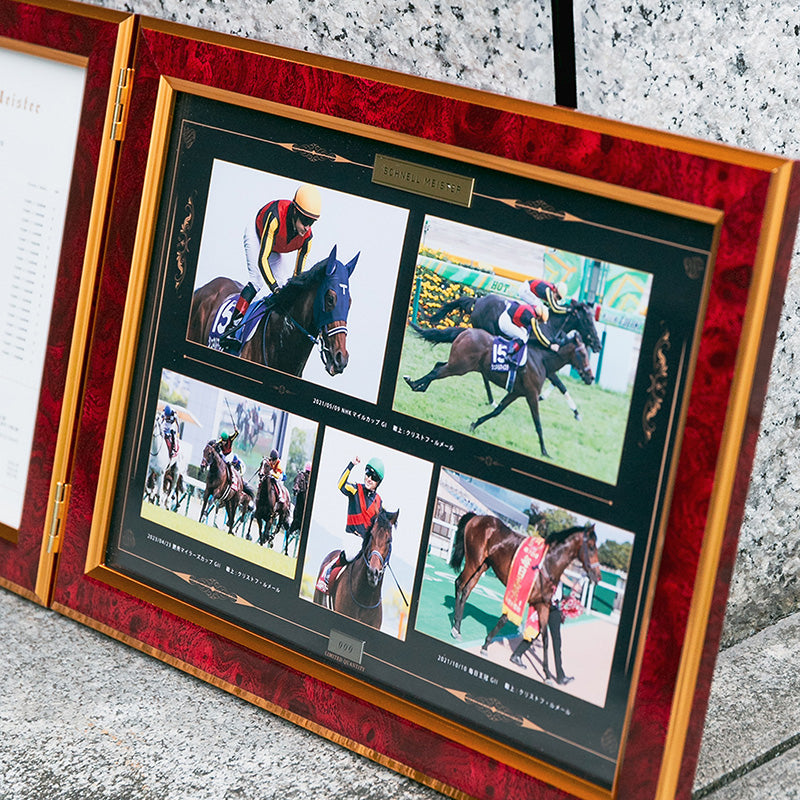 HORSE GOODS net】シュネルマイスター・引退記念写真パネル｜netkeiba