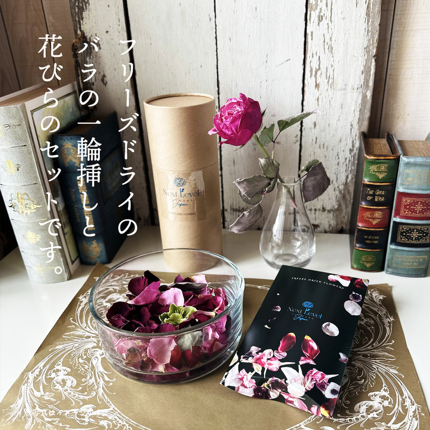 ゼロフラワー「薔薇1輪挿し&花びらセット」｜フリーズドライフラワー
