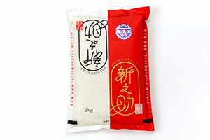 新潟直送計画】令和6年度米 新潟県産米 食べ比べセット（無洗米