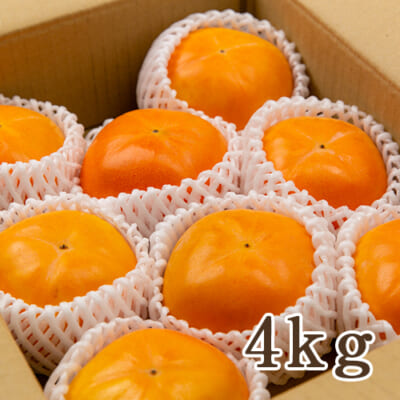 新潟直送計画】新潟県産 ごま八珍柿（種なし） – BIG BRIDGE FARM