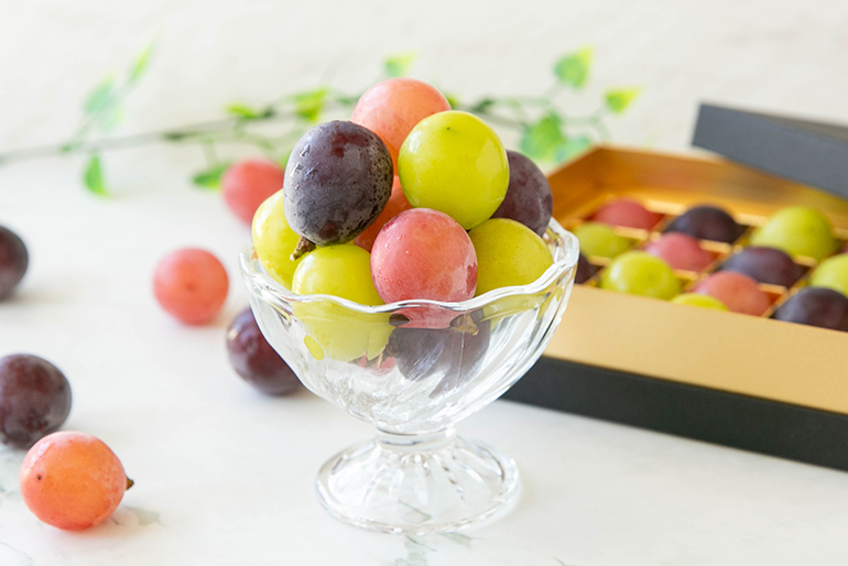 新潟直送計画】ぶどうのジュエリーボックス – ヤマヨ果樹園（Le Verger