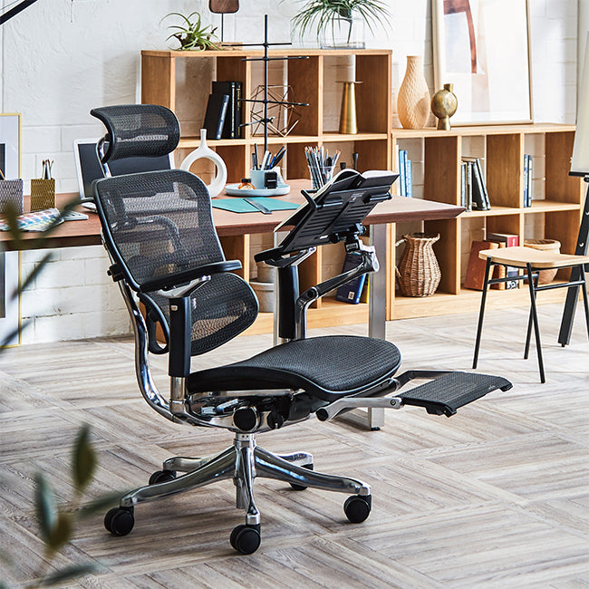 エルゴヒューマン プロ オットマン Ergohuman ハイスペックチェア 収納