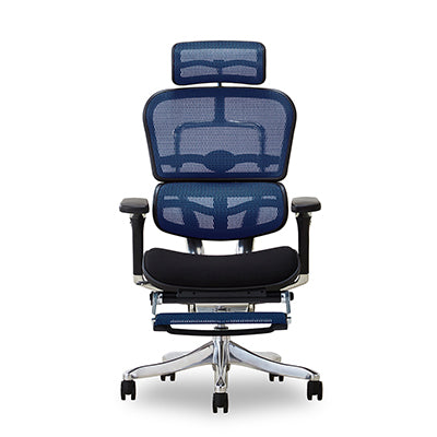 エルゴヒューマン プロ オットマン Ergohuman ハイスペックチェア 収納