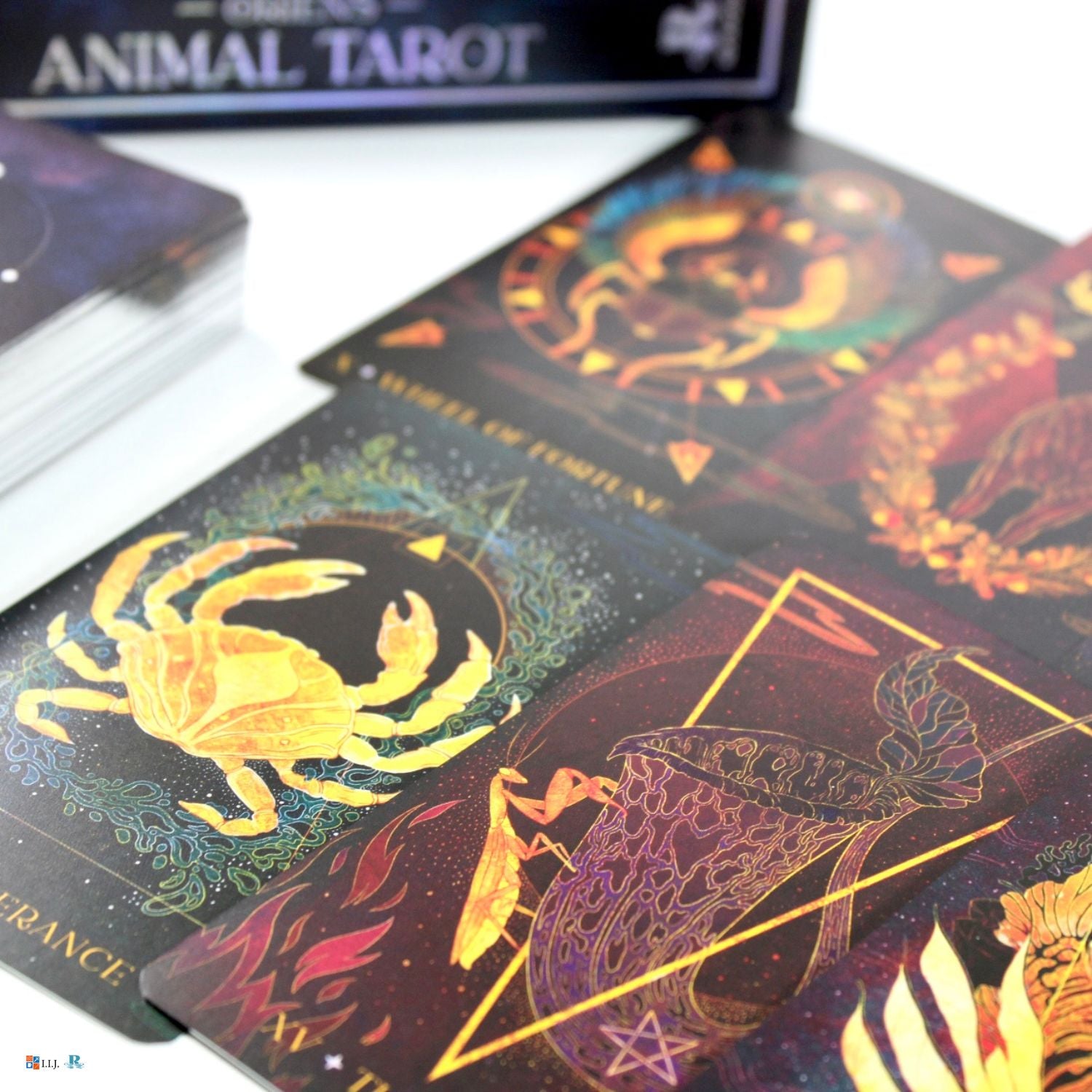 オリエンス・アニマル・タロット Oriens Animal Tarot – クロノス