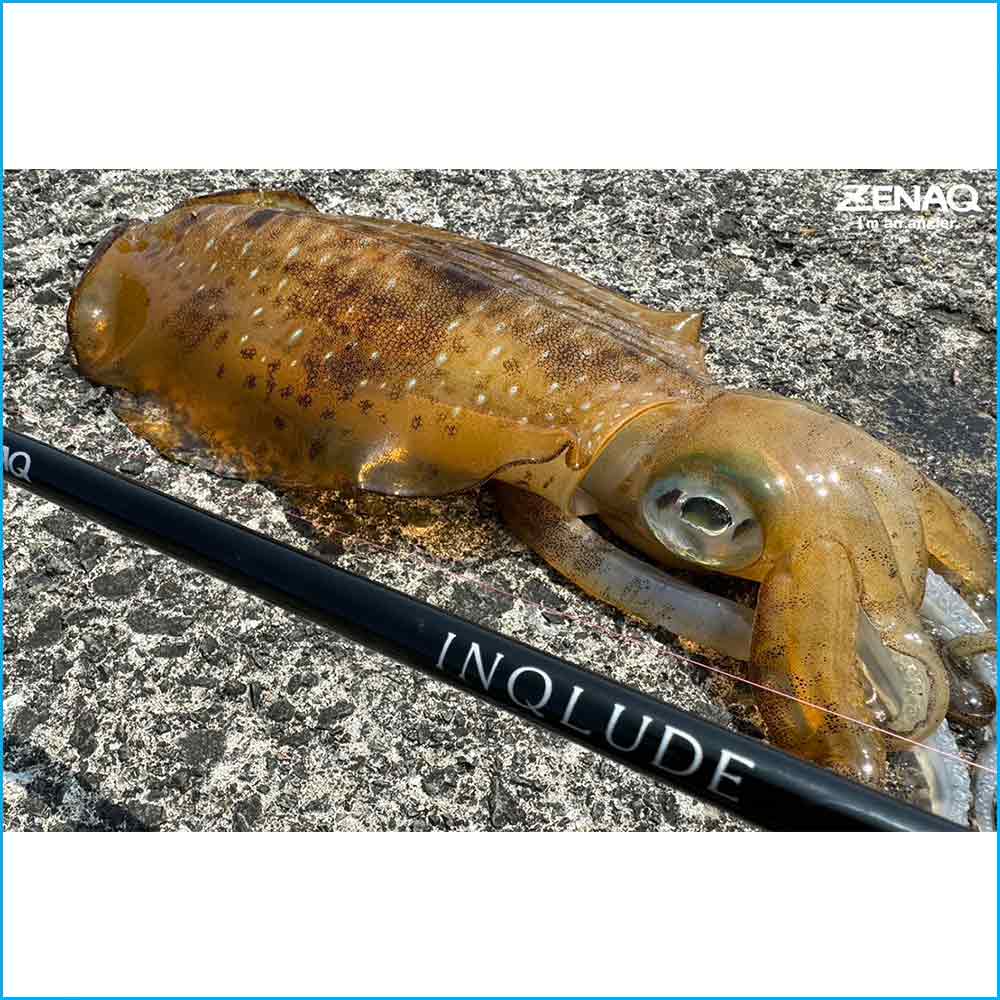 INQLUDE | IS83-M3 SQUID SQUAD - Fishing Import