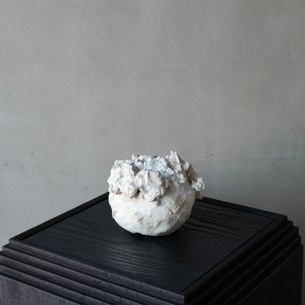 P1023163_1000x.jpg?v=1766554319