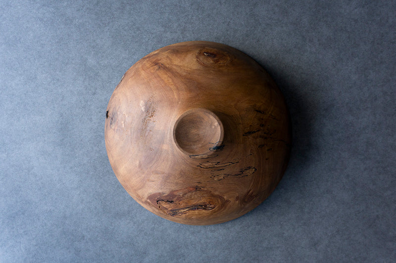 ○22-KF195 ホルトノキ 鉢 – 雨晴/AMAHARE