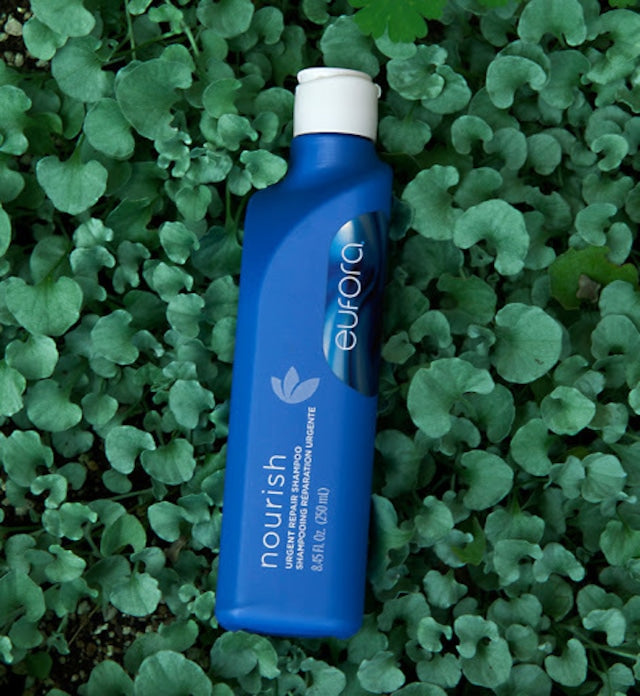 アージェントリペアー シャンプー250ml – asha STORE