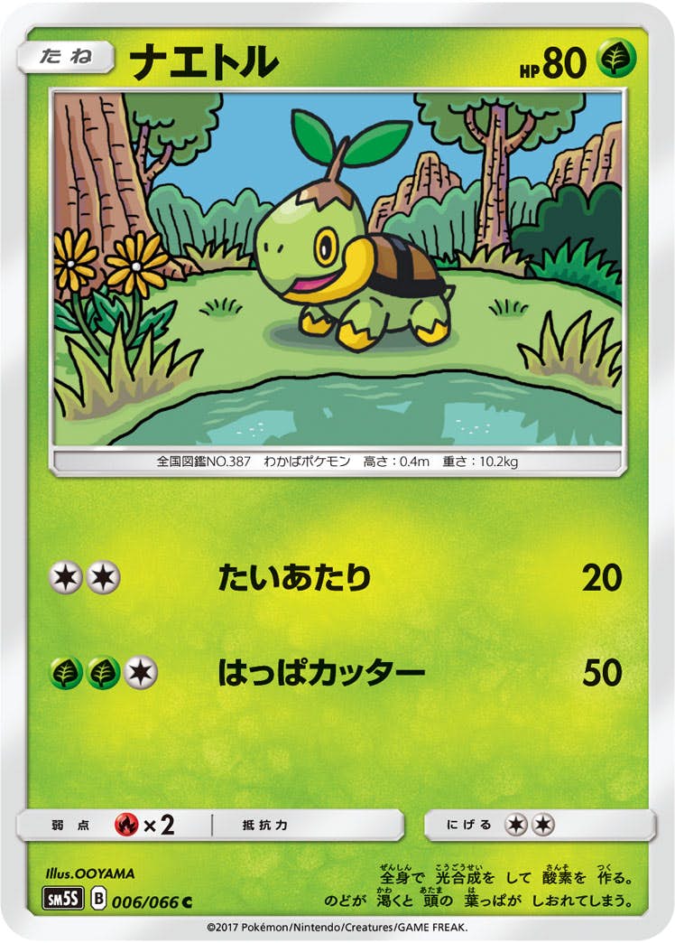 ナエトル 商品一覧（ポケモンカード） – トレカ（TCG）通販・買取なら