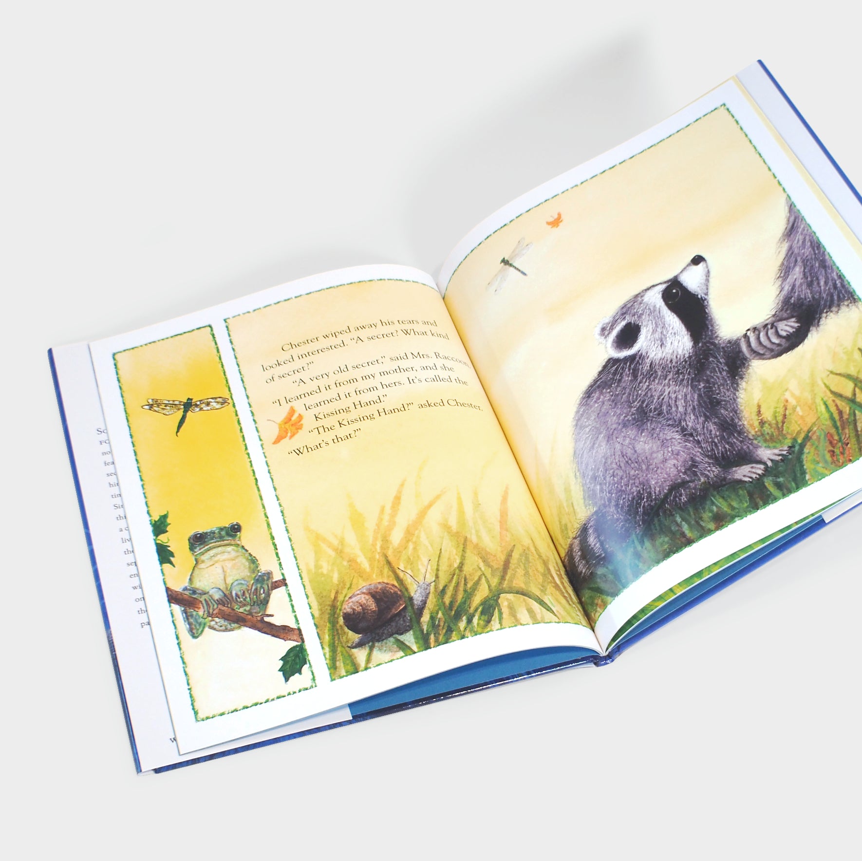 The Kissing Hand – The Library Store