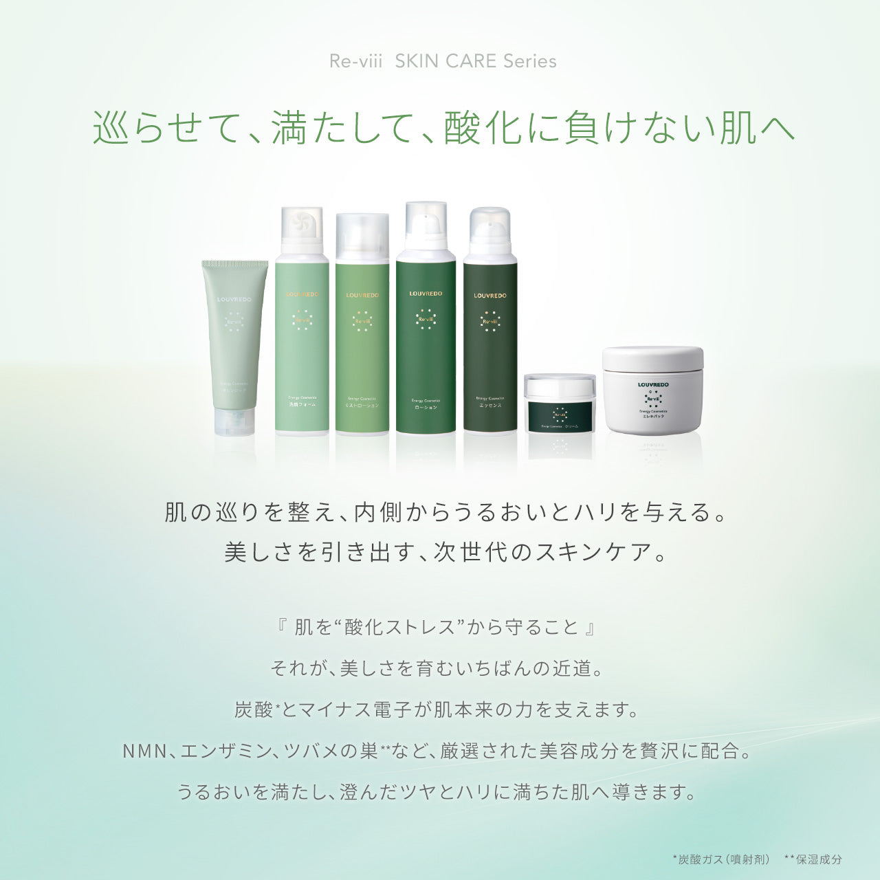 新作】ルーヴルドー レヴィ 洗顔フォーム (炭酸泡) – LOUVREDO直営