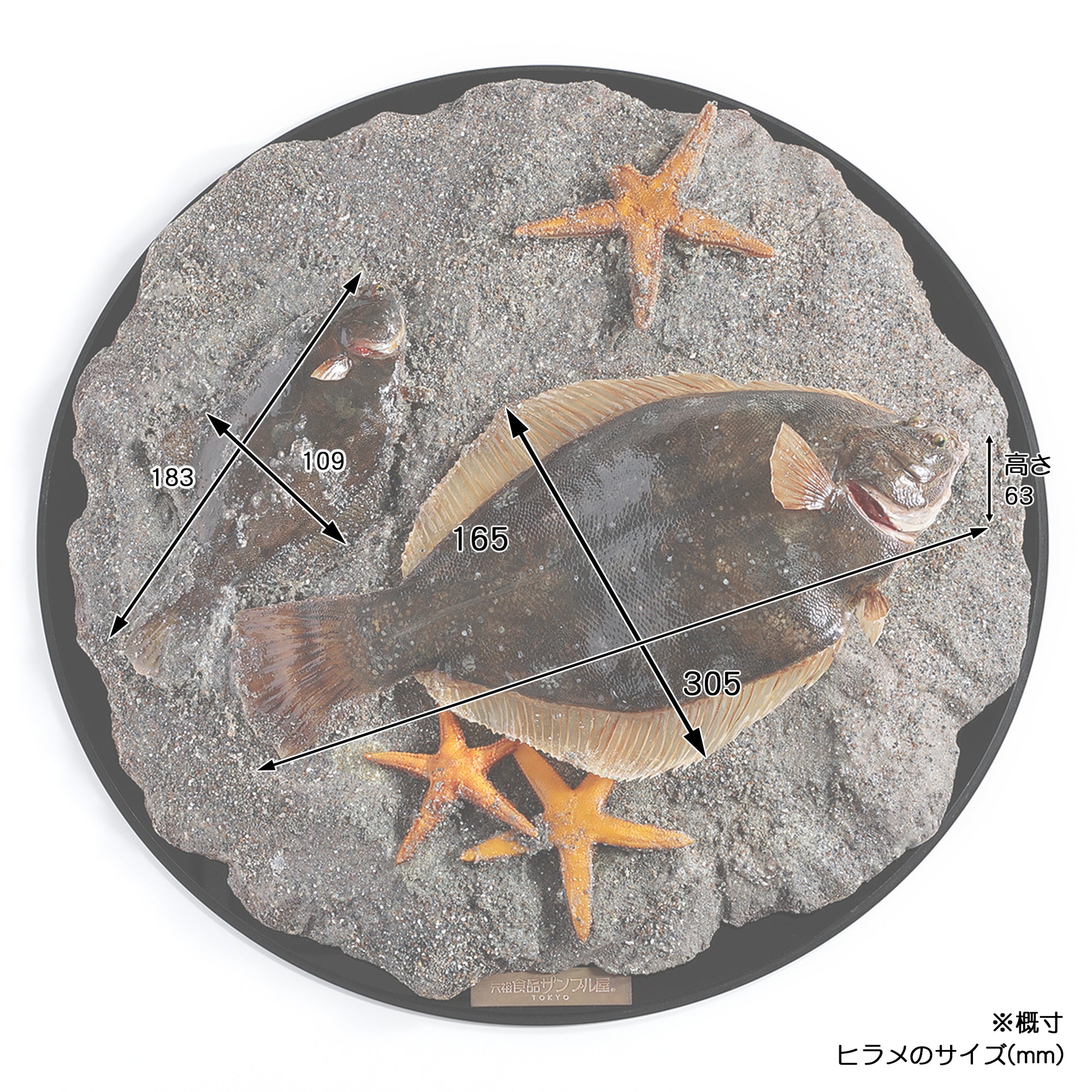 454_202505.jpg?v=1749017004&