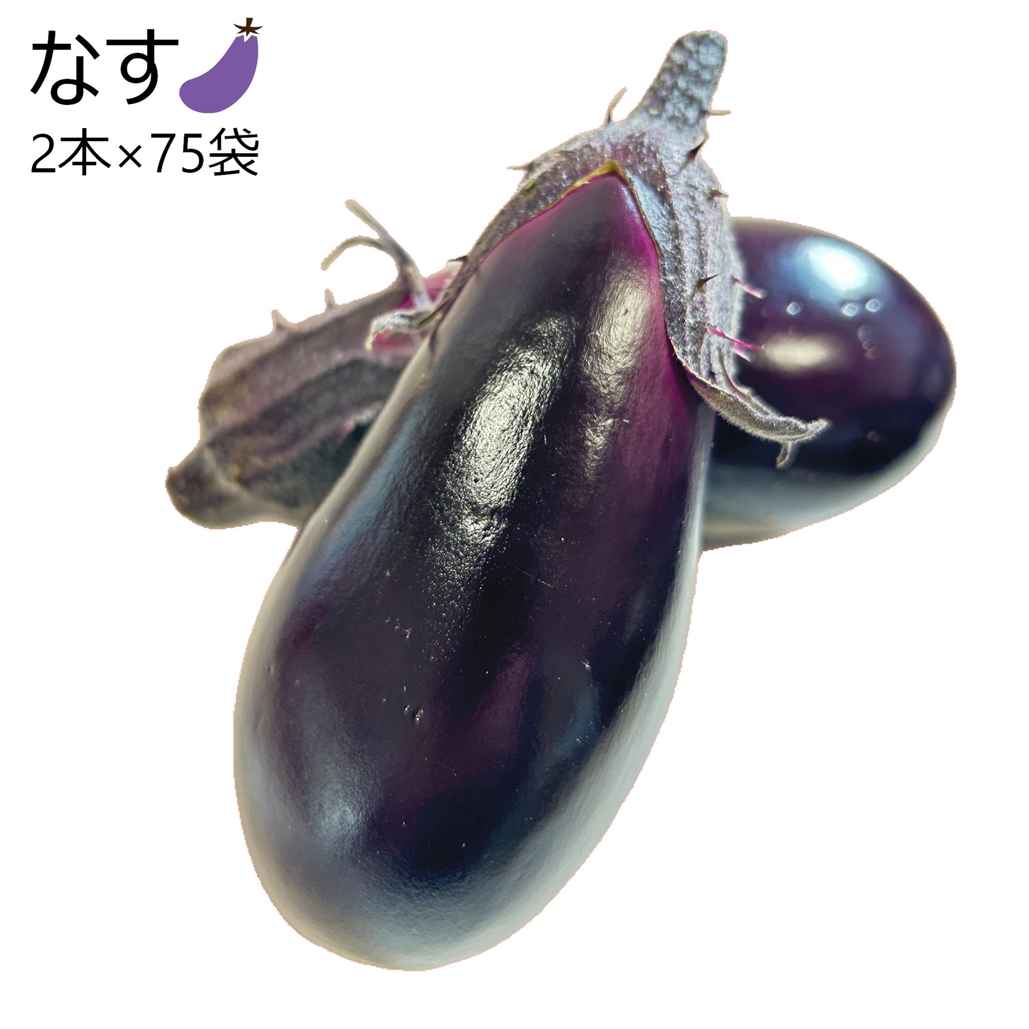 なす (M 4本×35袋) – 元気な畑のごちそう便