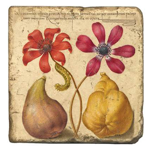 Joris Hoefnagel Coasters - Getty Museum Store
