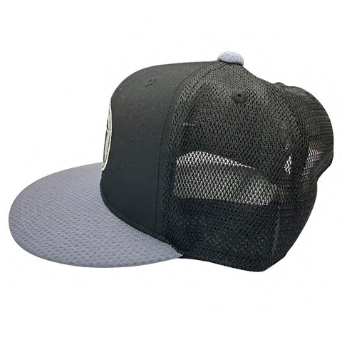 プロコレプラクティスキャップ☆受注生産品☆ - 阪神タイガース公式