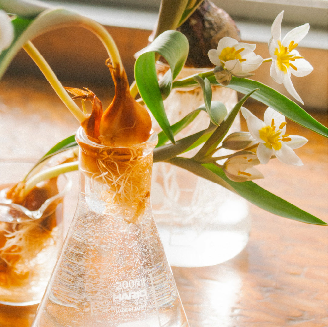 三角フラスコ – HARIO NETSHOP