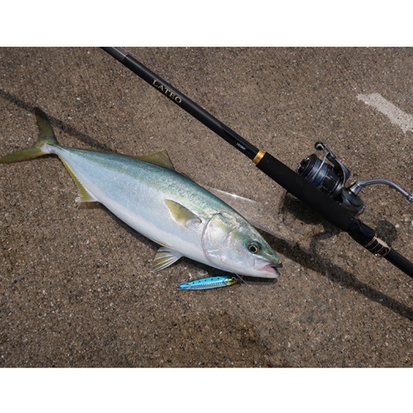 25 ラテオ | イシグロ公式オンラインショップ