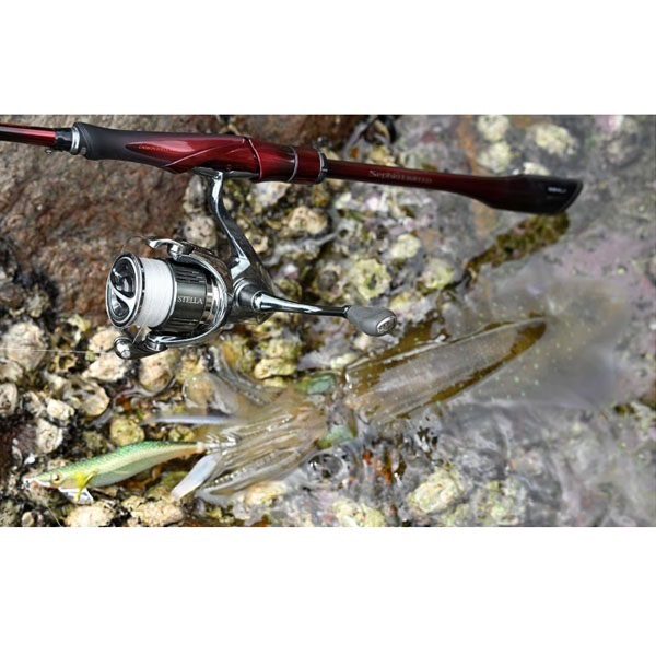 25 セフィア リミテッド | イシグロ公式オンラインショップ