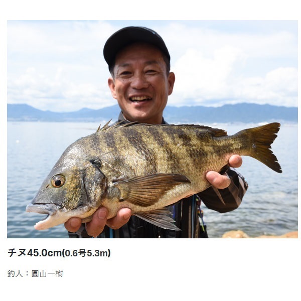 24 がま磯 アテンダー3 | イシグロ公式オンラインショップ