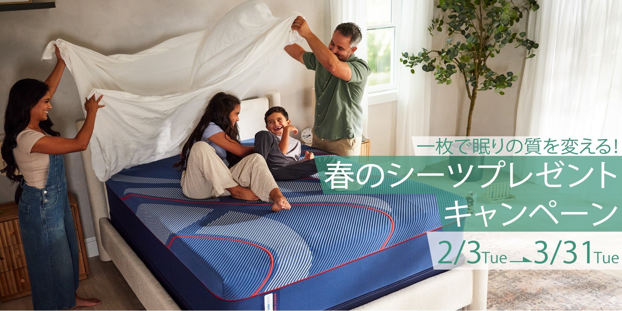新着情報 – シーリー公式 SLEEP SELECT ONLINE SHOP