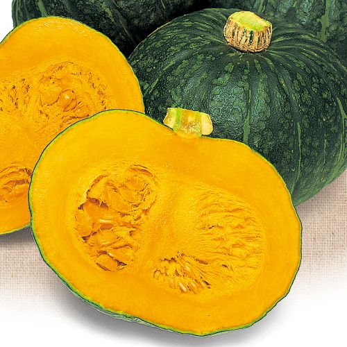 西洋カボチャ・ほっこりえびす| 種・苗・ガーデニング用品の【タキイ