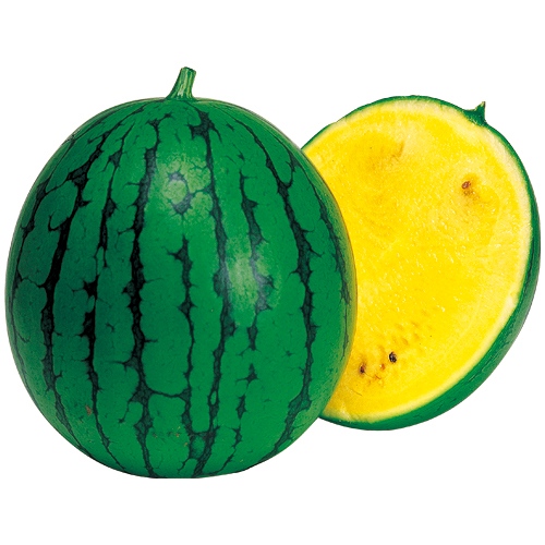 733-ASU002.jpg?202602031613