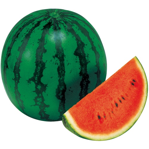 733-ASU084.jpg?202602031613