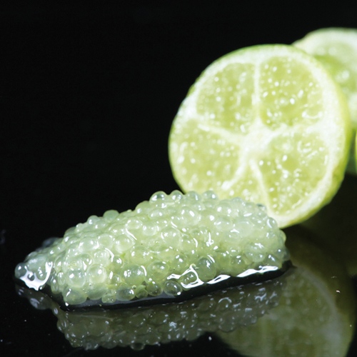 デザートライム| 種・苗・ガーデニング用品の【タキイネット通販】