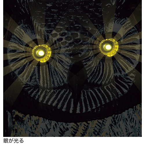 パニックふくろう 眼に用心2 STYF-4| 種・苗・ガーデニング用品の