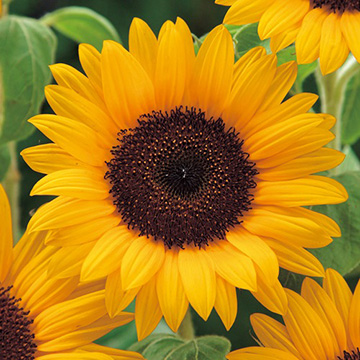 733-FHM512.jpg?202603041439