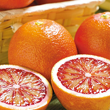 ブラッドオレンジ・モロ| 種・苗・ガーデニング用品の【タキイネット通販】