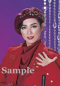 ブロマイドオーダーサービス/2025年公演/『ROBIN THE HERO