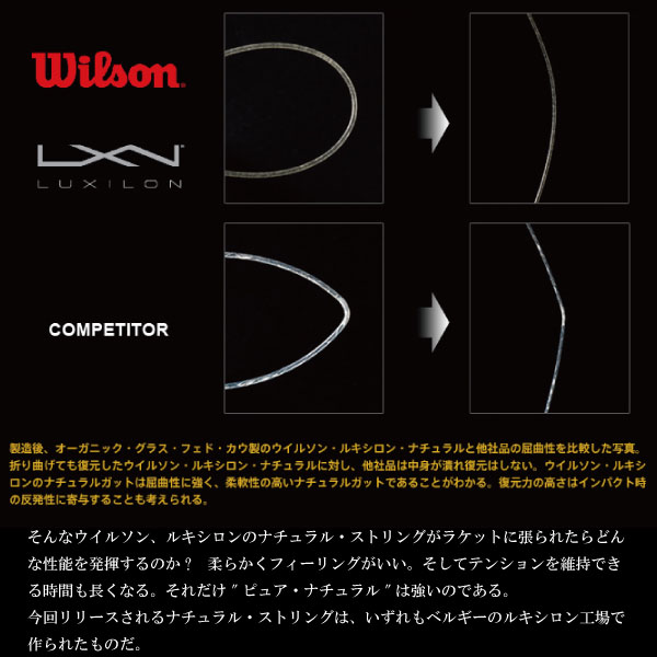 ルキシロン ストリング（単張） ]ナチュラルガット NATURAL GUT
